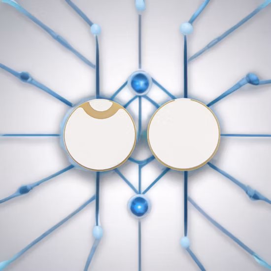 Transducteur d'atomiseur ultrasonique piézo Whtf113