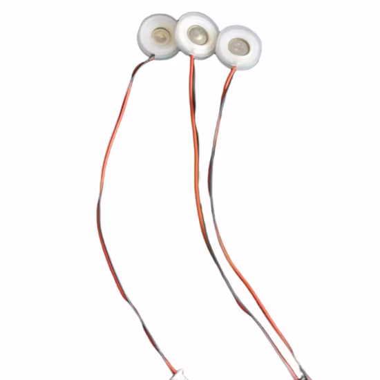 Corrosion de transducteur d'atomiseur ultrasonique piézo-électrique et résistance aux acides Hnya20