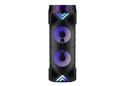 Double haut-parleur Bluetooth haute puissance, caisson de basses de 6.5 pouces, boîte de fête DJ danse, grand haut-parleur Bluetooth Portable