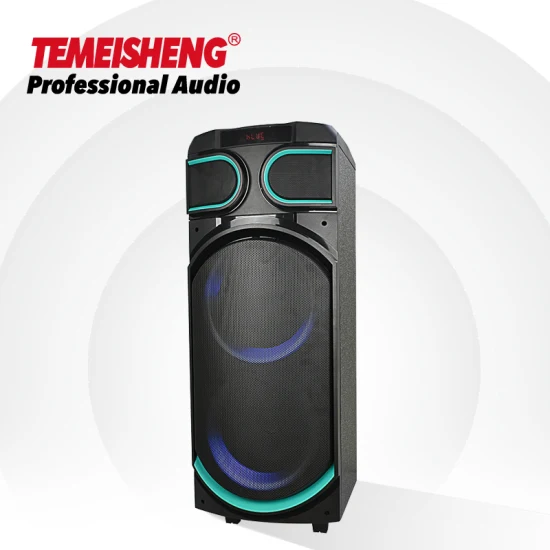 Temeisheng 8 pouces Party Box 100 watts professionnel Portable sans fil Audio Blueoth haut-parleur avec Microphone